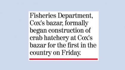 Economic prospects boost crab farming in Cox’s Bazar 
