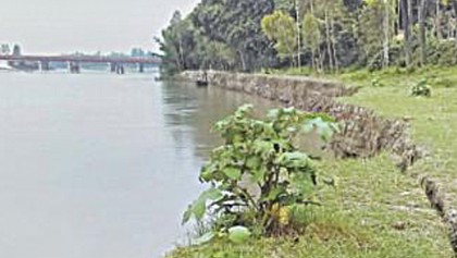 Erosion by Pungli River turns serious in Tangail