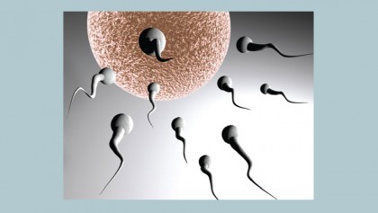 Evaluation of male factor infertility and sterility