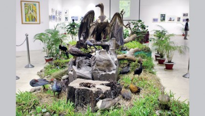 Exhibition on 100 species of birds underway at Nat’l Museum 