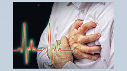 Facts about heart rate