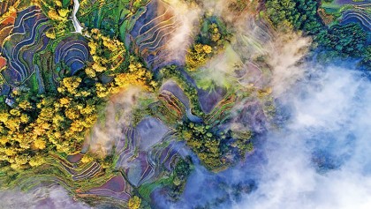 Fairy-tale terraces of Honghe