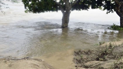 Farakka and flood management 