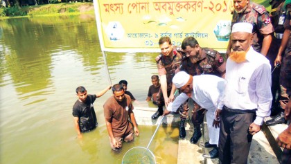 Fish fries release, tree plantation inaugurated in C’nawabganj