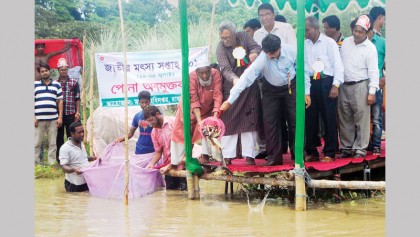 Call to preserve extinct, indigenous fish species