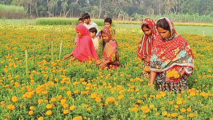 Flowers, novelty items to boost economy in Feb
