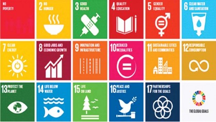 Framing policies to achieve sustainable development goals