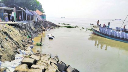 Fresh erosion by Meghna, Jamuna in Chandpur, Tangail