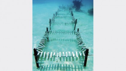 Global warming outpaces efforts to slow it: UN