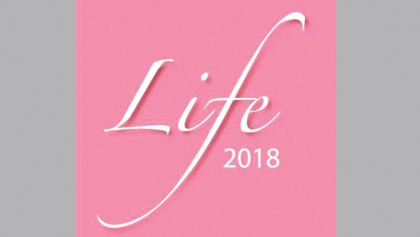 Group art exhibition of 33 women begins today 