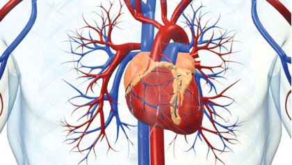 Undiagnosed heart condition 'AFib' may be common, study suggests
