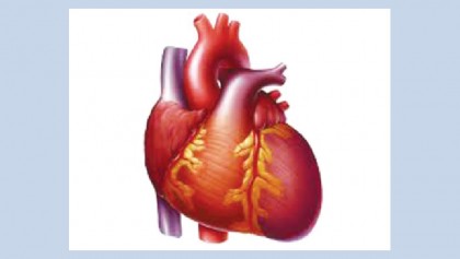 Heart has failed! ...then what?