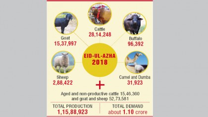 High feed prices hamper fattening of cows