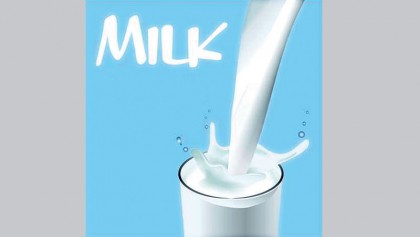 High levels of toxins found in cow’s milk