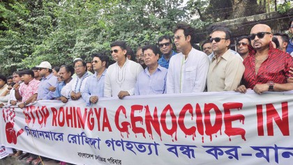 Rohingya persecution crime against humanity: Speakers