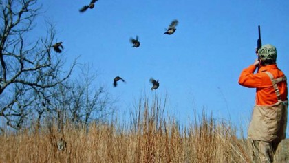 Migratory birds poaching with poison rampant 