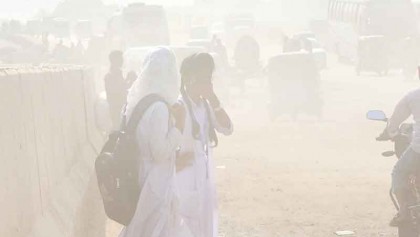 Identify causes of air pollution in capital