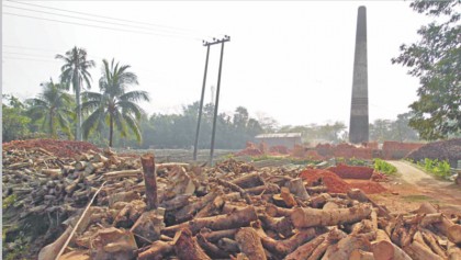 Illegal brick kilns cause severe pollution 