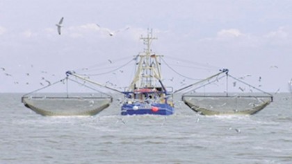 Incorporation of blue economy action plan in the 8th five-year plan