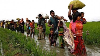 Govt plans big for Rohingyas
