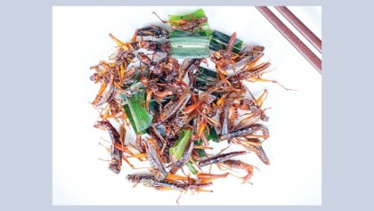 Insects as food? Selling them as 'tasty luxuries' might work