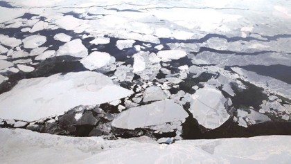 Insurance companies – an unlikely ally in the fight against climate change?