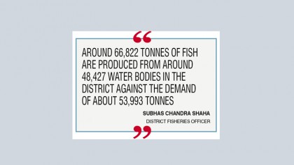 Integrated fish farming a boon for Rajshahi farmers