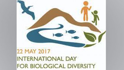 Declining biodiversity 