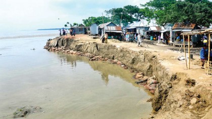 Jamuna erosion threatens Guthail hard-point 