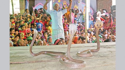 ‘Jhapang khela’ held in Jhenidah