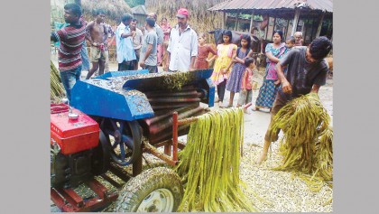 Jute fibre extracting machine revives cultivation