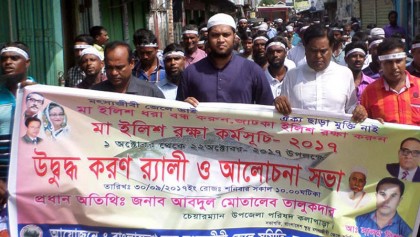 22-day ban on hilsa catch begins today