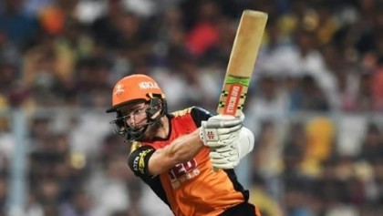 New Zealand wrap up series as Williamson hits ton
