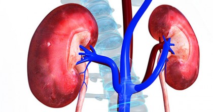 Diarrhea causes kidney failure: Experts