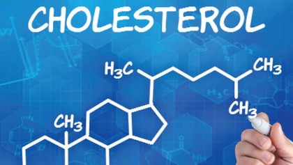 LDL cholesterol: size does matter