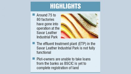 Leather exports fall again as new tannery site not fully functional yet