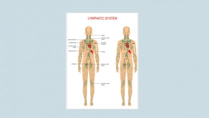 Lymph Drainage Therapy 