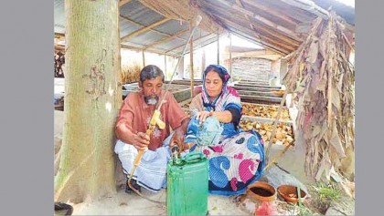 Couple sets example in making organic manure, pesticides 