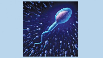 Male infertility