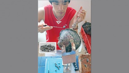 Tahiti pearls mainstay of French Polynesian economy endangered