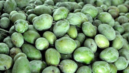 Explore new export 
market for mango