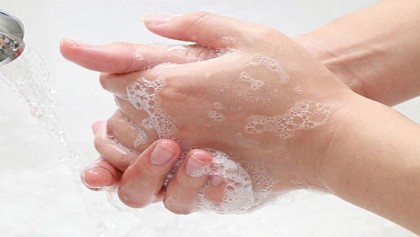 Antibacterial handwash no better than plain soap for fighting germs