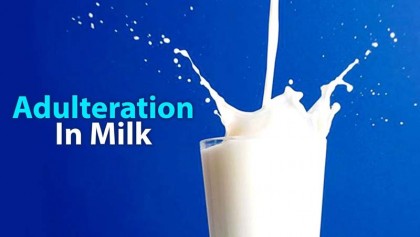 Milk production  