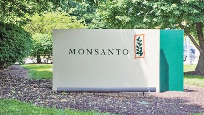 Angst grows over agrochemical mega-mergers