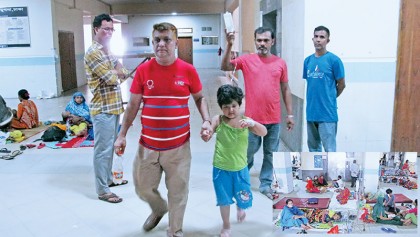 Import effective anti-Aedes insecticides immediately: HC