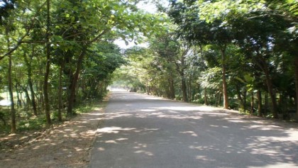 Narail-Lohagara road in appalling state