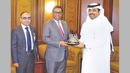 Qatar urged to invest in energy sector
