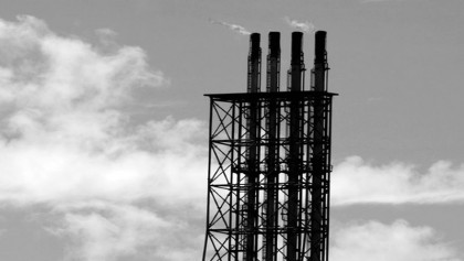 A promising export item