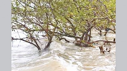 Nature-based solutions: An optimal approach for flood risk reduction