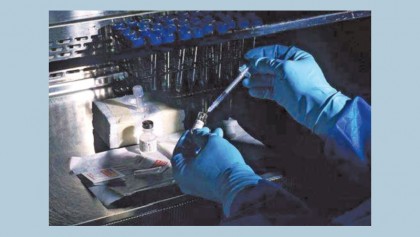 Novel HIV vaccine candidate is safe and induces immune response in healthy adults and monkeys